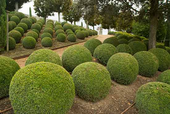 amboise-chateau-visite