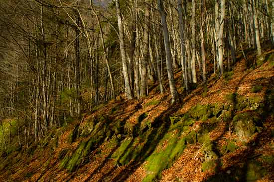 plateau-de-la-moliere-rando-famille-vercors
