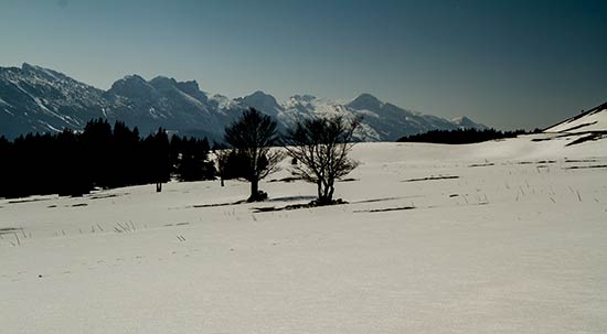 plateau-de-la-moliere-randonnee