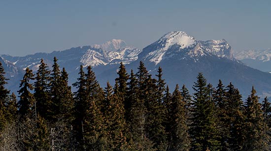 plateau-de-la-moliere