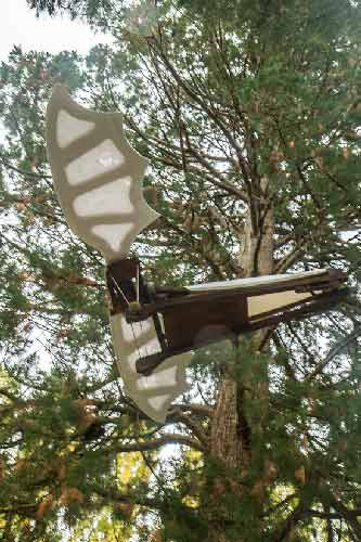 visiter-clos-lucé-parc