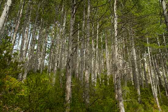 balade-verdon-avec-enfants