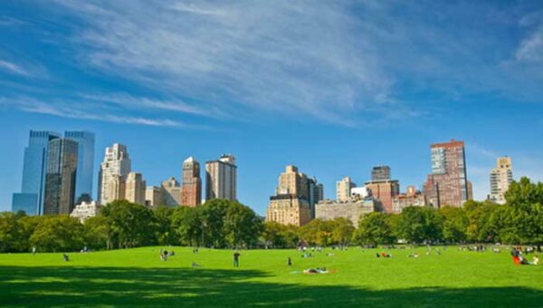 que faire a new york avec des enfants