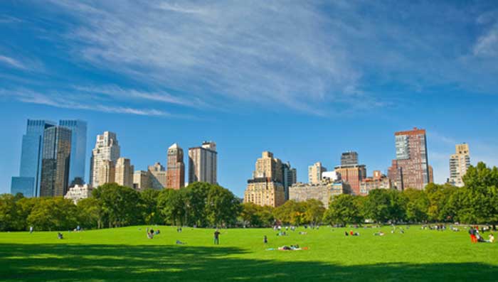 New York en famille: 15 choses incontournables à faire! que faire a new york avec des enfants