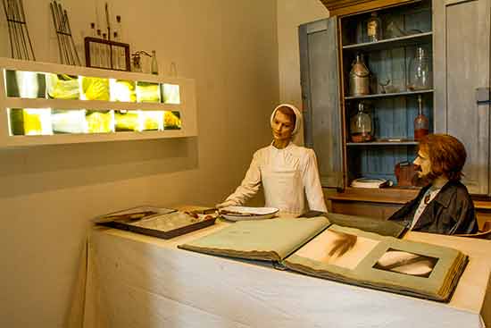 visite-chateau-de-chenonceau