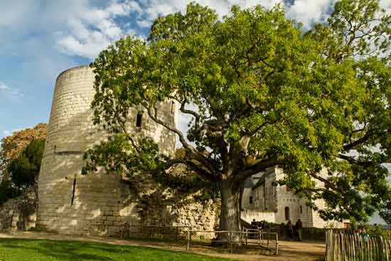 visite-chinon