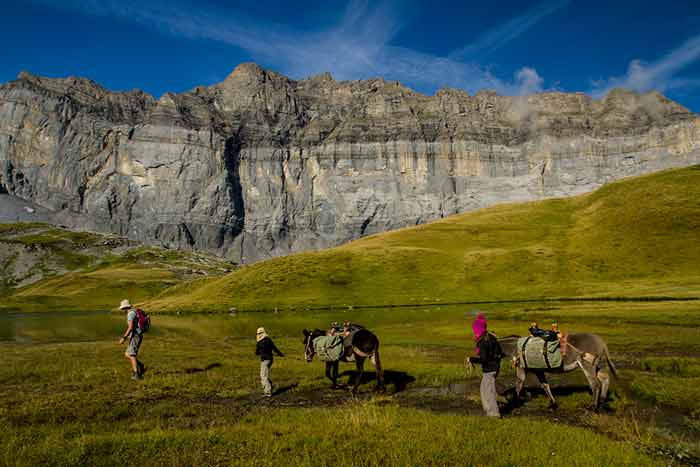 vacances en famille nature animaux