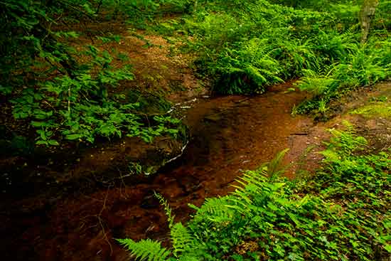 balade-famille-broceliande