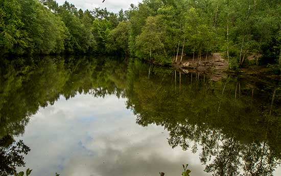 Randonnée dans le Val Sans Retour – Forêt de Brocéliande balade famille broceliande