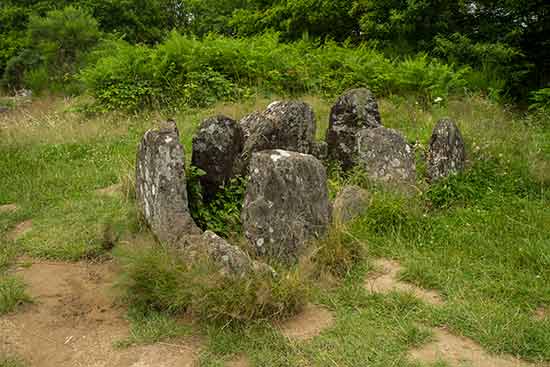 balade-forêt-de-brocéliande