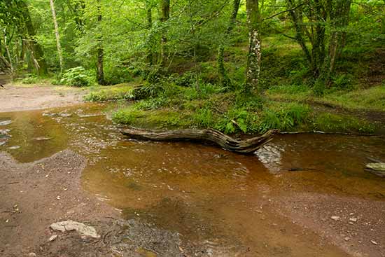 randonnée-brocéliande