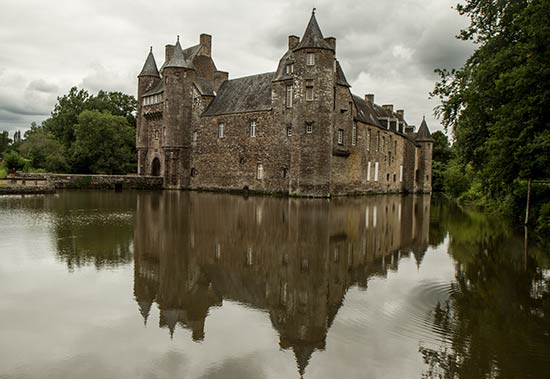 visite-foret-de-broceliande-en-famille