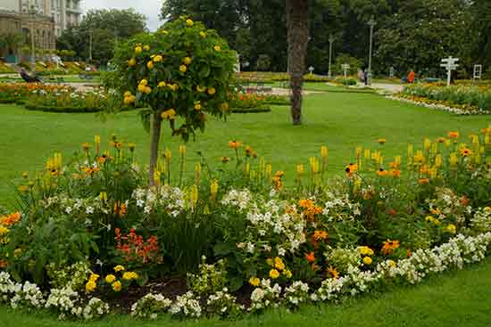 activité-rennes-famille