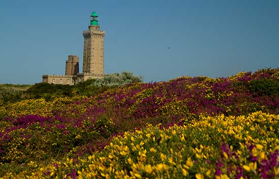 Randonnée au Cap Fréhel: on vous dit tout avec photos! balade-cap-frehel