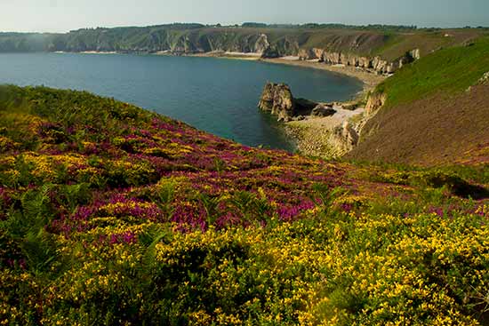 balade-fort-la-latte-cap-frehel