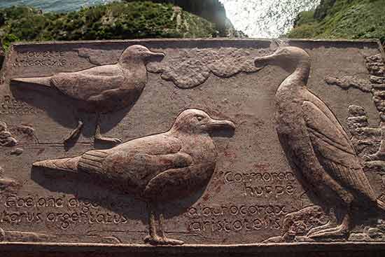 randonnée-boucle-cap-fréhel