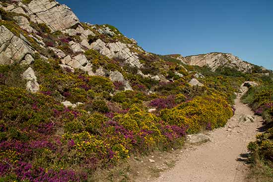 randonnée-pédestre-erquy