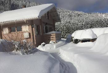 location-chalet-la-bresse