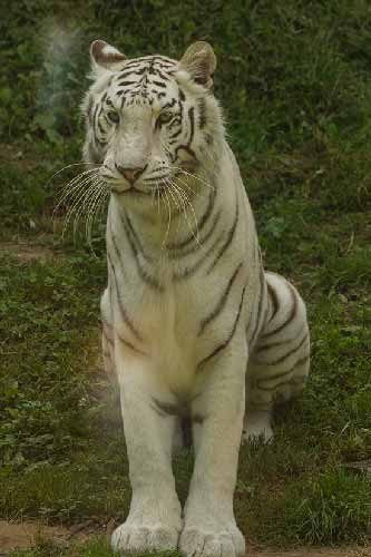 road-trip-bretagne-nord