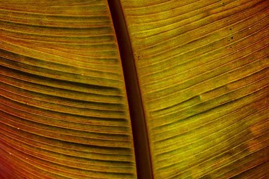 tour-de-bretagne-en-camping-car