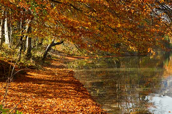 visite-ljubljana-en-famille