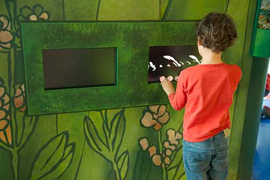 Aquarium-barcelone-enfant