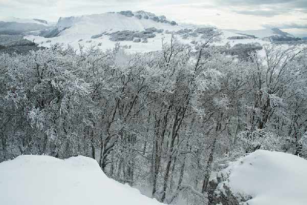 PAYSAGE-HIVER-vercors-sous-la-neige