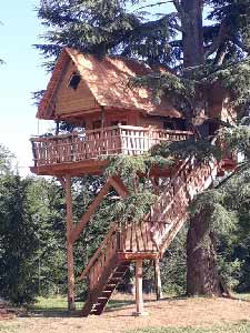 cabane dans les arbres avec des enfants