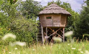 cabane dans les arbres avec enfants