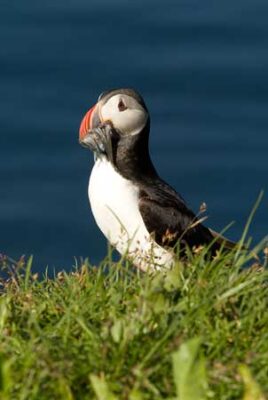 islande voyage famille