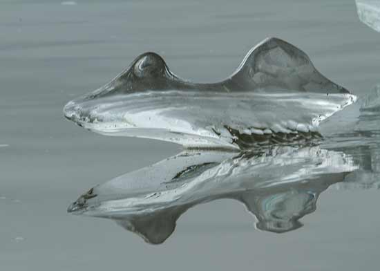 lac-jokulsarlon-iceberg-en-forme-de-bouche-islande