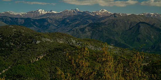 mercantour-depuis-arrière-pays-niçois