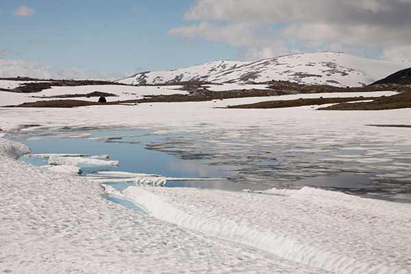norvège en famille en hiver