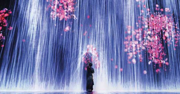 que-faire-à-miami-en-famille