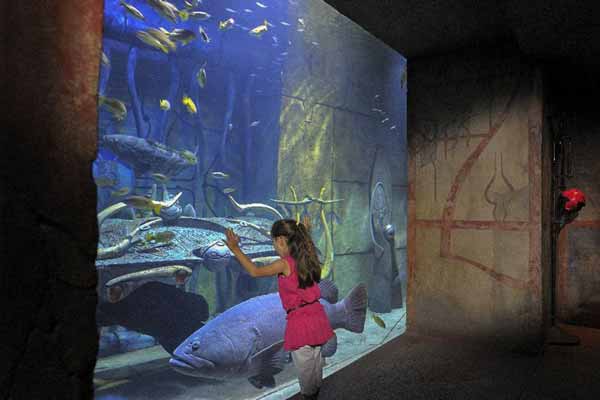 quoi-faire-a-dubai-en-famille