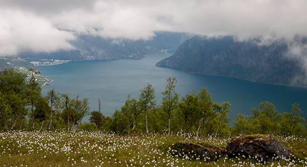 randonnée-Norvege-fjord
