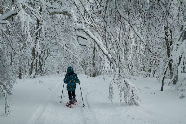 randonnée-raquette-enfant-vercors