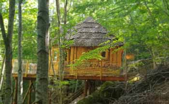 sejour famille cabane dans les arbres