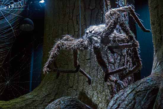 studio-harry-potter-Londres-araignée-foret-interdaite