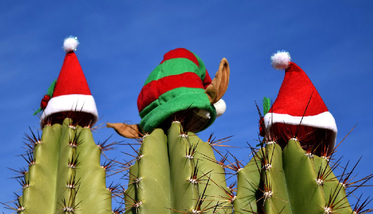 vacances-noel-en-famille