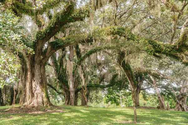 voyage-miami-en-famille