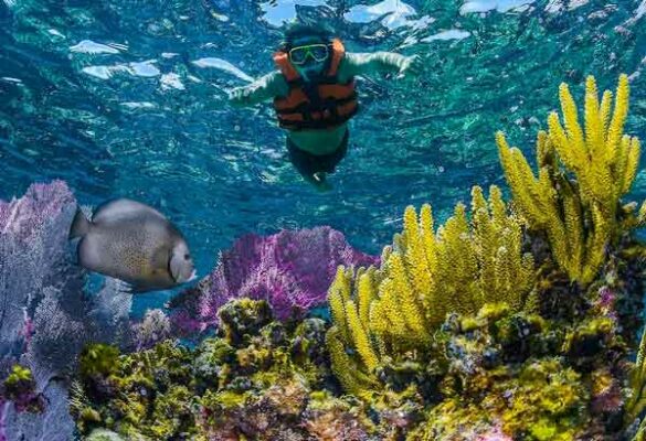 voyage-yucatan-en-famille