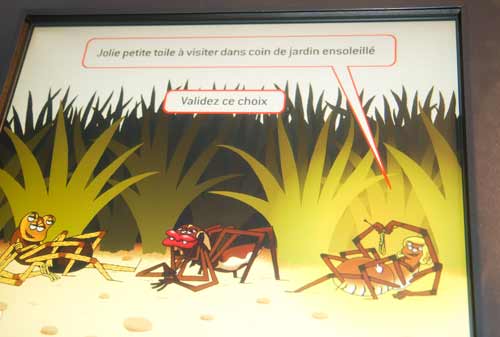 araignée-museum-grenoble