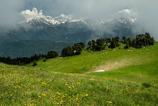 belledonne-vu-de-chartreuse-dans-alpes