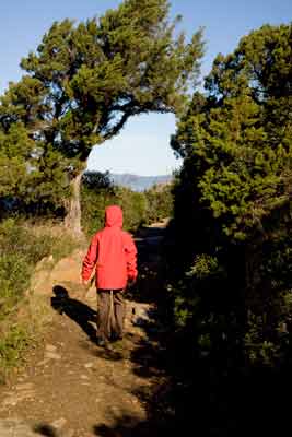 enfant-randonneur-sur-île-de-port-cros