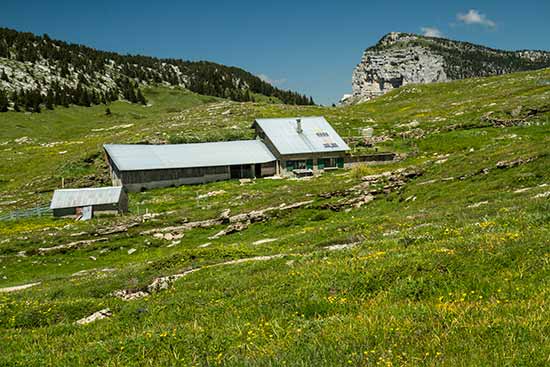 habert-chartreuse-croix-de-l'alpe
