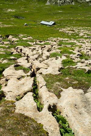 habert-en-chartreuse-croix-de-l'alpe