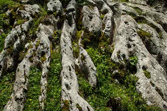 lappiaz-chartreuse-alpes