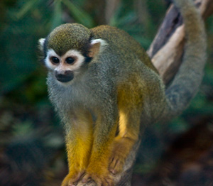 londe-les-maures-zoo-vacances-enfant-toussaint
