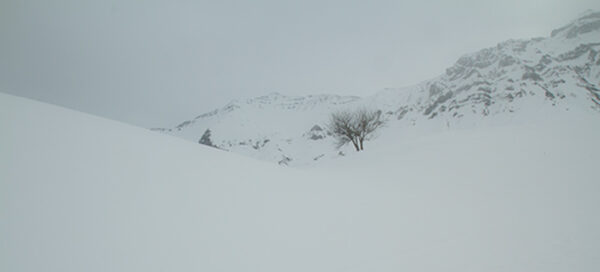 montagne-savoie-sous-neige-et-arbre